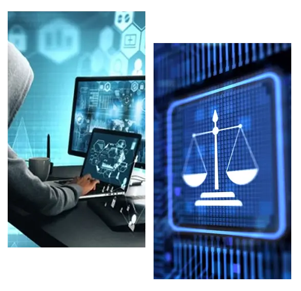 Cyber Crime Lawyer